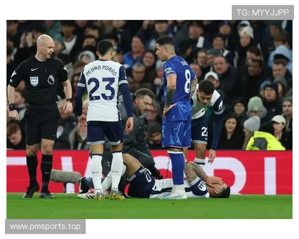 帕尔默恢复情况未明仍未合练 出战热刺能否成疑 帕尔默恢复情况未明仍未合练 出战热刺能否成疑