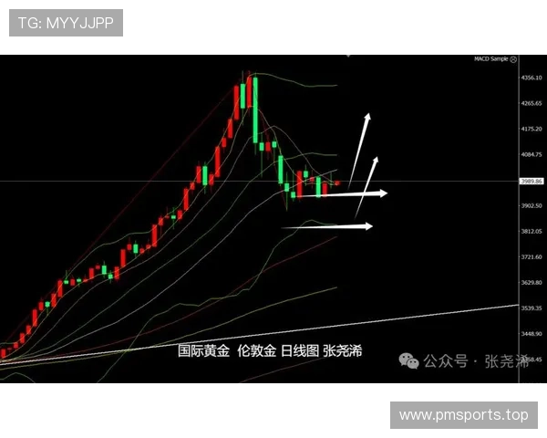 波尔图抢断成功率近期波动显著盘口倾向数据或透露深层信号关键点